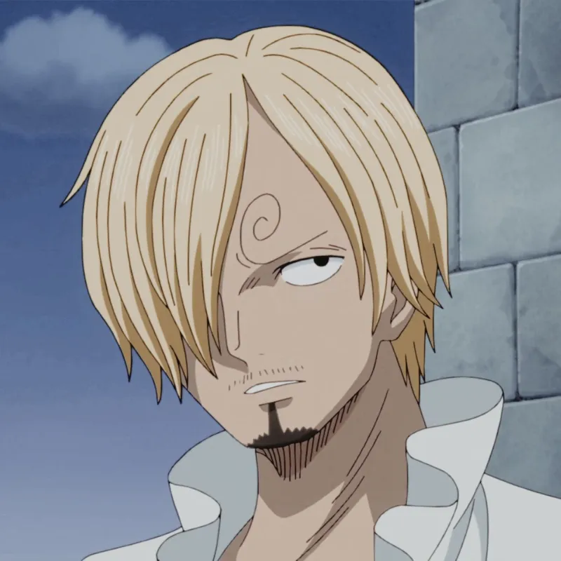 ảnh sanji 14