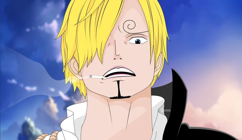 ảnh sanji 18