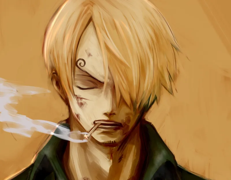 ảnh sanji 20