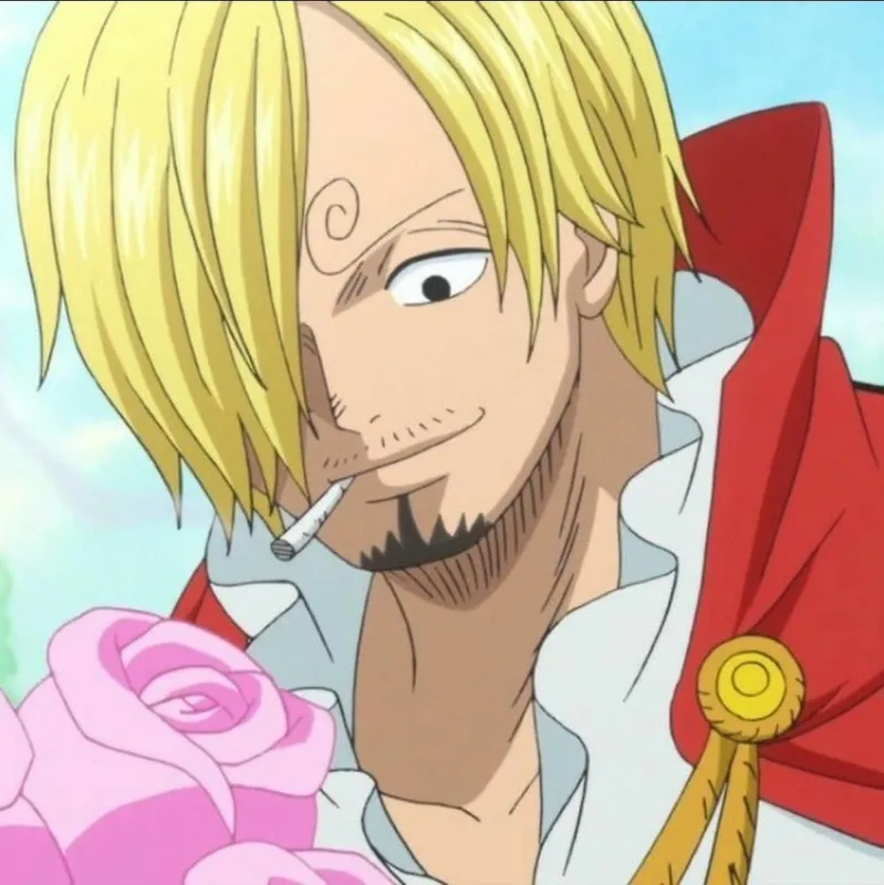 ảnh sanji 29