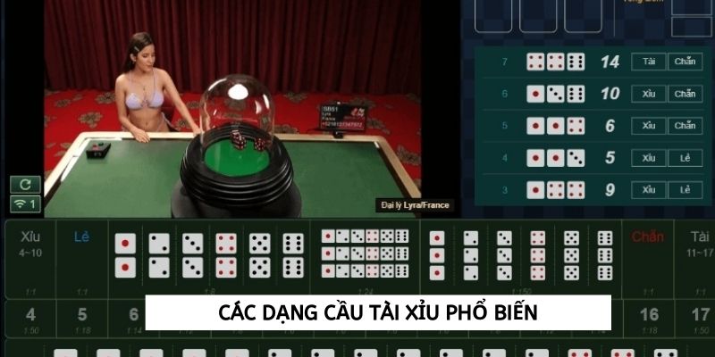 Các dạng cầu tài xỉu phổ biến